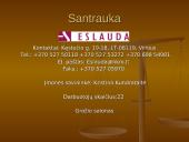 Įmonės kūrimas: grožio salonas "Eslauda" 3 puslapis