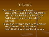 Įmonės kūrimas: grožio salonas "Eslauda" 5 puslapis