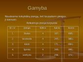 Įmonės kūrimas: grožio salonas "Eslauda" 6 puslapis