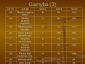 Įmonės kūrimas: grožio salonas "Eslauda" 8 puslapis