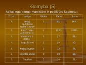 Įmonės kūrimas: grožio salonas "Eslauda" 10 puslapis