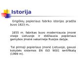 Įmonės pristatymas: popieriaus fabrikas AB "Grigiškės" 2 puslapis