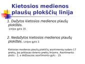 Įmonės pristatymas: popieriaus fabrikas AB "Grigiškės" 6 puslapis