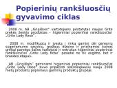 Įmonės pristatymas: popieriaus fabrikas AB "Grigiškės" 8 puslapis