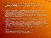 Įmonės steigimo dokumentacija 11 puslapis