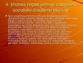 Įmonės steigimo dokumentacija 13 puslapis