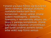 Įmonės steigimo dokumentacija 3 puslapis