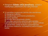 Įmonės steigimo dokumentacija 10 puslapis