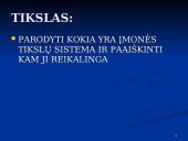 Įmonės tikslų sistema 2 puslapis