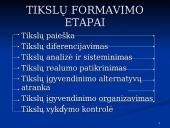 Įmonės tikslų sistema 11 puslapis