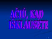 Įmonės tikslų sistema 13 puslapis