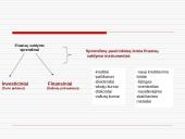 Finansų vadovo darbo esmė 11 puslapis
