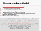 Finansų vadovo darbo esmė 16 puslapis