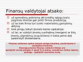 Finansų vadovo darbo esmė 8 puslapis