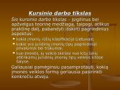 Įmonių rūšys Lietuvoje ir kitose šalyse 2 puslapis