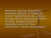 Įmonių rūšys Lietuvoje ir kitose šalyse 3 puslapis