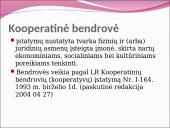 Įmonių tipai ir rūšys 12 puslapis