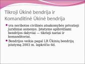 Įmonių tipai ir rūšys 14 puslapis