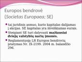 Įmonių tipai ir rūšys 19 puslapis