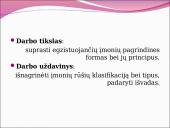 Įmonių tipai ir rūšys 3 puslapis