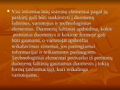 Informacijos svarba vadyboje 15 puslapis