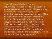 Informacijos svarba vadyboje 5 puslapis