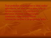 Informacijos svarba vadyboje 10 puslapis