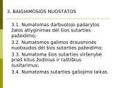 Informacijos ir komunikacijos valdymas 13 puslapis