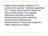 Informacinių sistemų poveikis organizacijos vidinei veiklai 16 puslapis