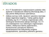 Informacinių sistemų poveikis organizacijos vidinei veiklai 19 puslapis