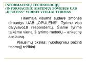Informacinių sistemų poveikis organizacijos vidinei veiklai 9 puslapis