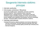 Interneto teisinis reguliavimas 12 puslapis