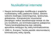 Interneto teisinis reguliavimas 13 puslapis