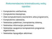 Interneto teisinis reguliavimas 14 puslapis