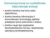 Interneto teisinis reguliavimas 16 puslapis