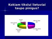 Investavimo sprendimo procesas 11 puslapis
