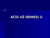 Investavimo sprendimo procesas 14 puslapis