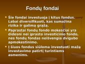 Kas yra investicinis fondas? 11 puslapis