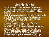 Kas yra investicinis fondas? 12 puslapis