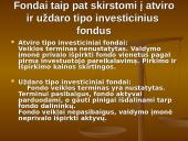 Kas yra investicinis fondas? 13 puslapis