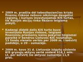 Kas yra investicinis fondas? 16 puslapis