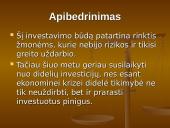 Kas yra investicinis fondas? 17 puslapis