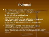 Kas yra investicinis fondas? 4 puslapis