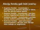 Kas yra investicinis fondas? 10 puslapis