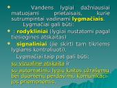 Inžinerinė hidrometrija 4 puslapis