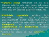 Inžinerinė hidrometrija 10 puslapis