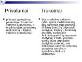 Įstaigos valdymas ir struktūra 11 puslapis