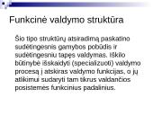 Įstaigos valdymas ir struktūra 7 puslapis
