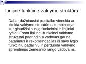 Įstaigos valdymas ir struktūra 10 puslapis