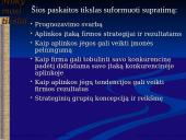 Išorinės aplinkos analizė 2 puslapis